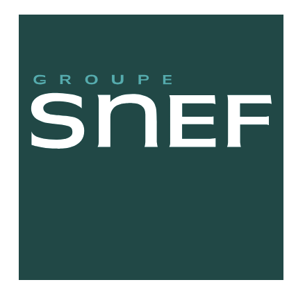 Logo de la structure SNEF