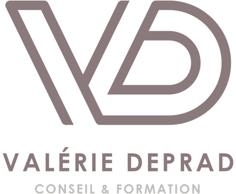 Logo de la structure VD CONSEIL ET FORMATION